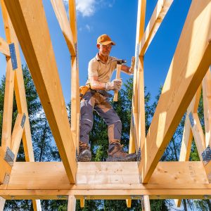 construction worker building house framing on sunn 2026 01 09 10 13 21 utc